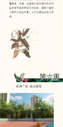 富森红土沉香：如何精准判断其品质和价值？